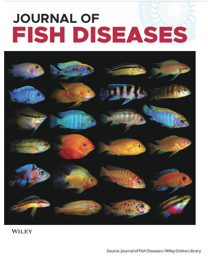 New publication out!